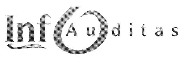 UAB „Infoauditas“ logotipas iš PDF 3 puslapio.