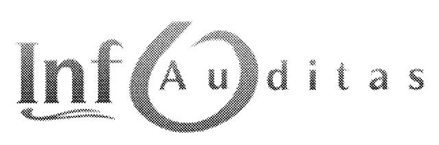 UAB „Infoauditas“ logotipas iš PDF 1 puslapio.