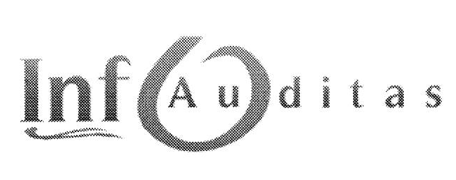 UAB „Infoauditas“ logotipas iš PDF 2 puslapio.