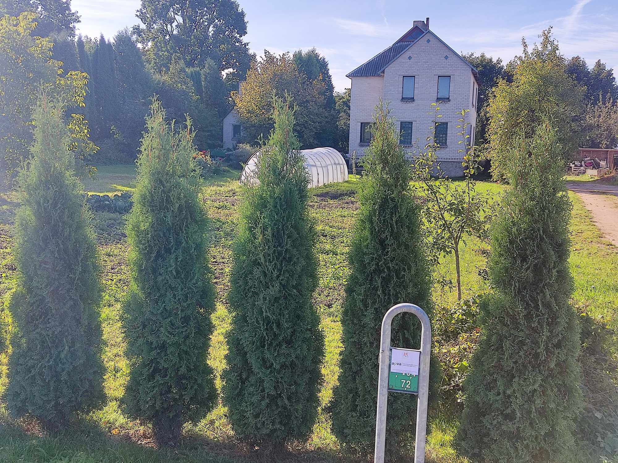 Projekto vietos nuotrauka: gyvenamasis namas, kiemas ir APVA finansavimo ženklas prie tvoros.